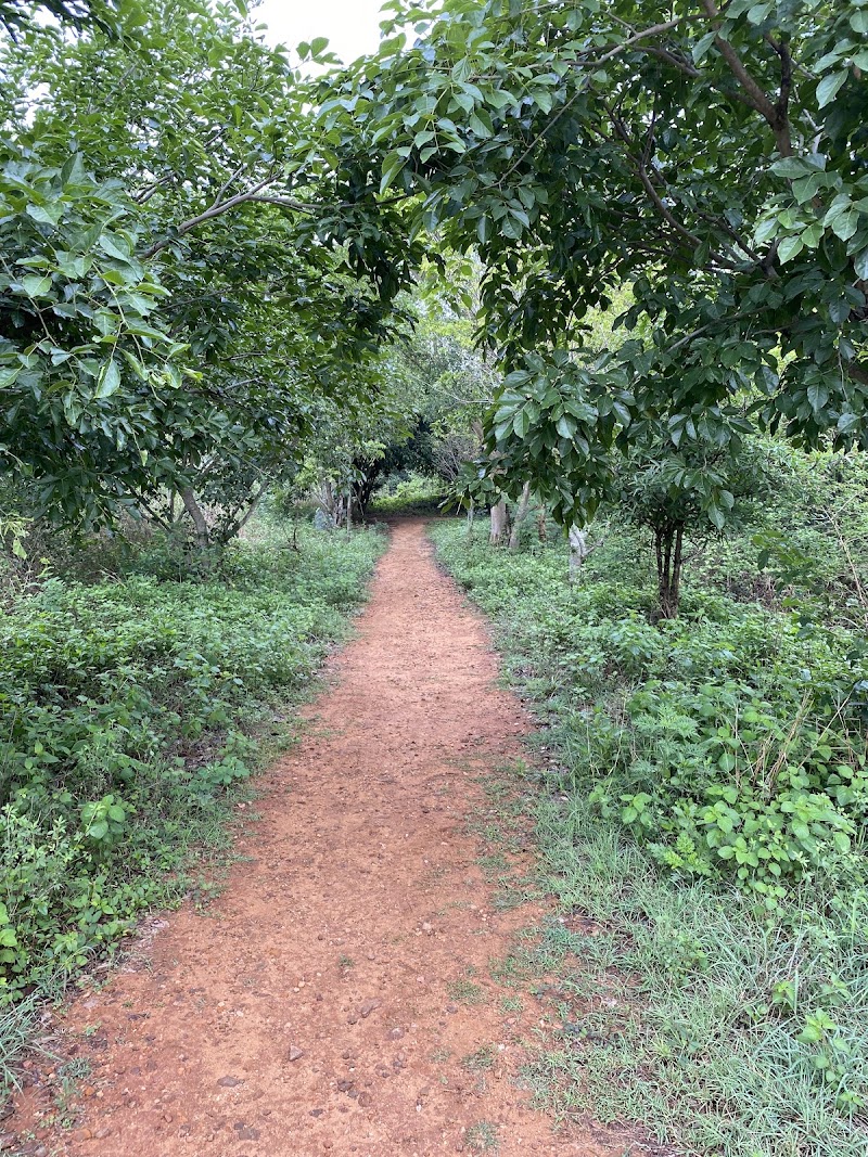 Turahalli Tree Park - Turahalli Tree Park VGFG+MVQ, Adarsha Layout, Lingadeeranahalli, Bengaluru, Karnataka 560109, India