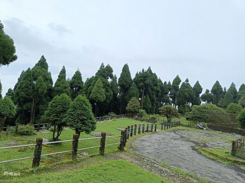 Pine View Spot - Pine View Spot 256P+H3, Ghoom Pahar Forest, West Bengal 734221, India