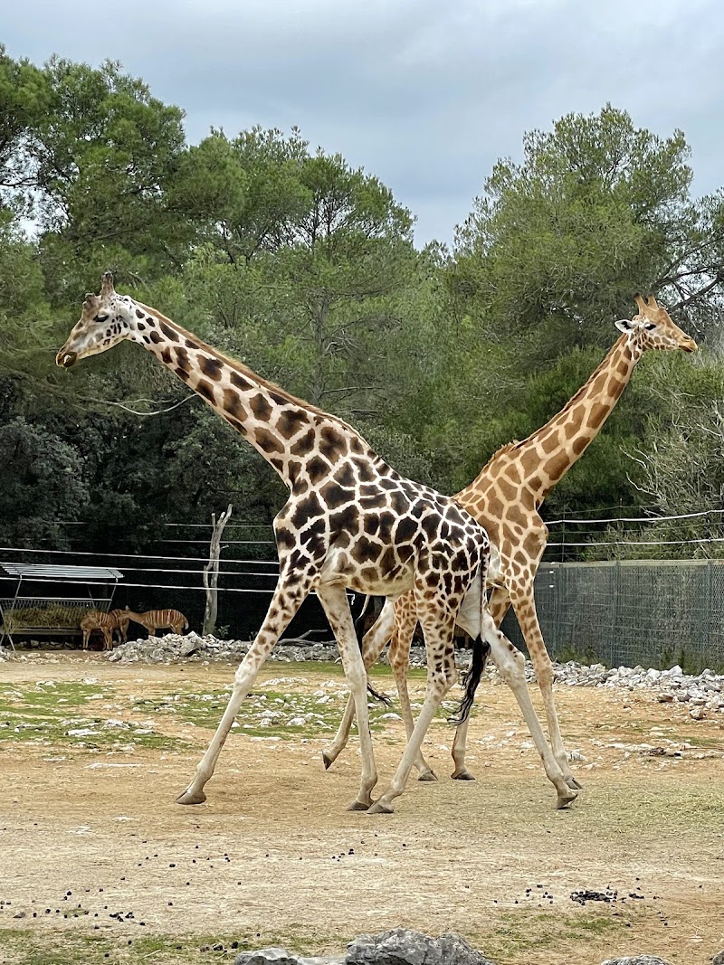 Zoo de Montpellier