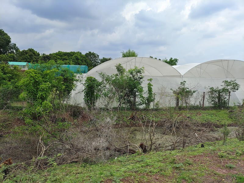 Sanjay Gandhi Nursery - Sanjay Gandhi Nursery, Andhiyarkhor, Chhattisgarh 491335, India