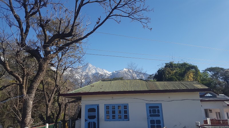 Manjhee Valley Tea Gardens - Manjhee Valley Tea Gardens, 58XW+73C, Hodal, Himachal Pradesh 176215, India
