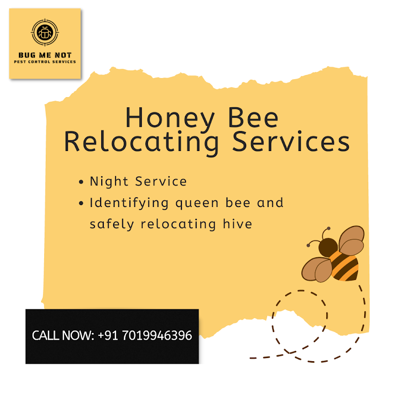 BUG ME NOT PEST CONTROL SERVICES - BUG ME NOT PEST CONTROL SERVICES, No. 59, 9th A Cross Rd, Kumarapark West, Kumara Park West, Seshadripuram, Bengaluru, Karnataka 560020, India