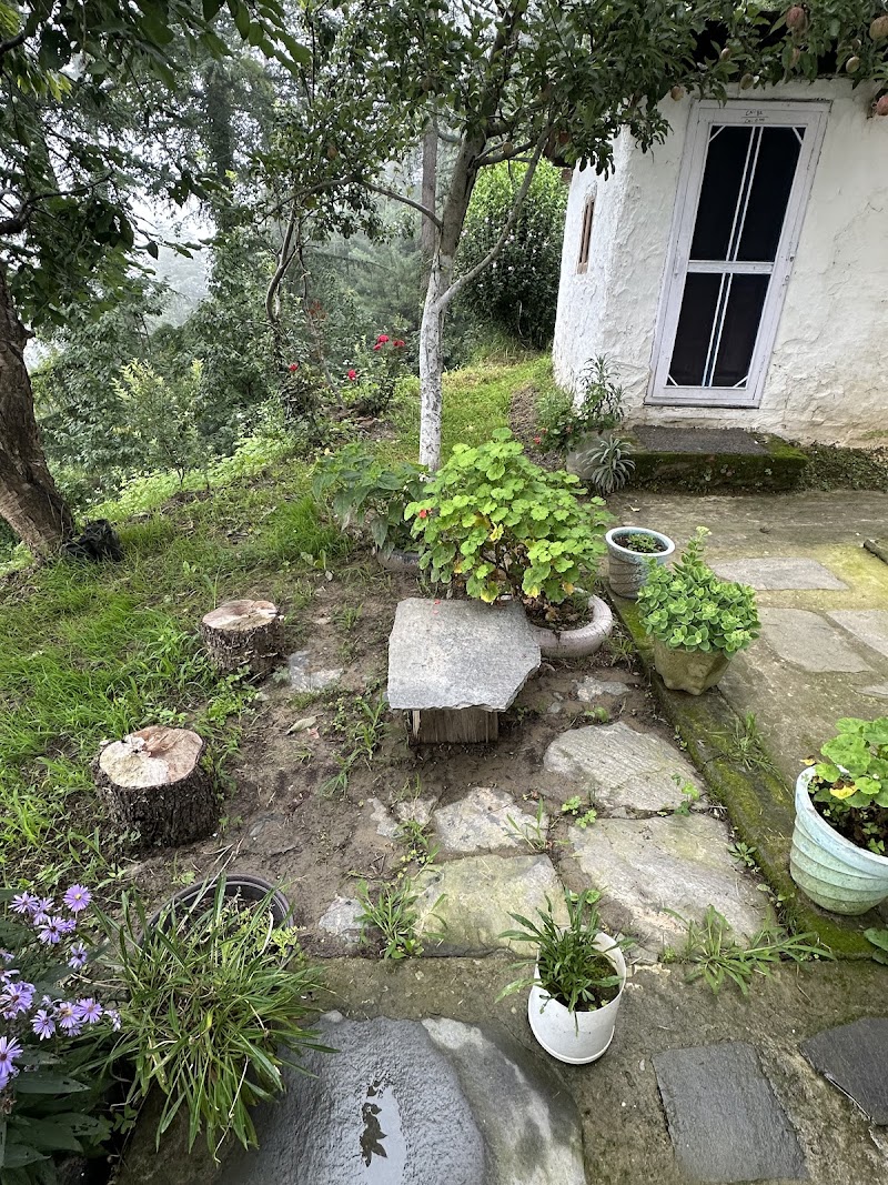 Pine Wood Homestay