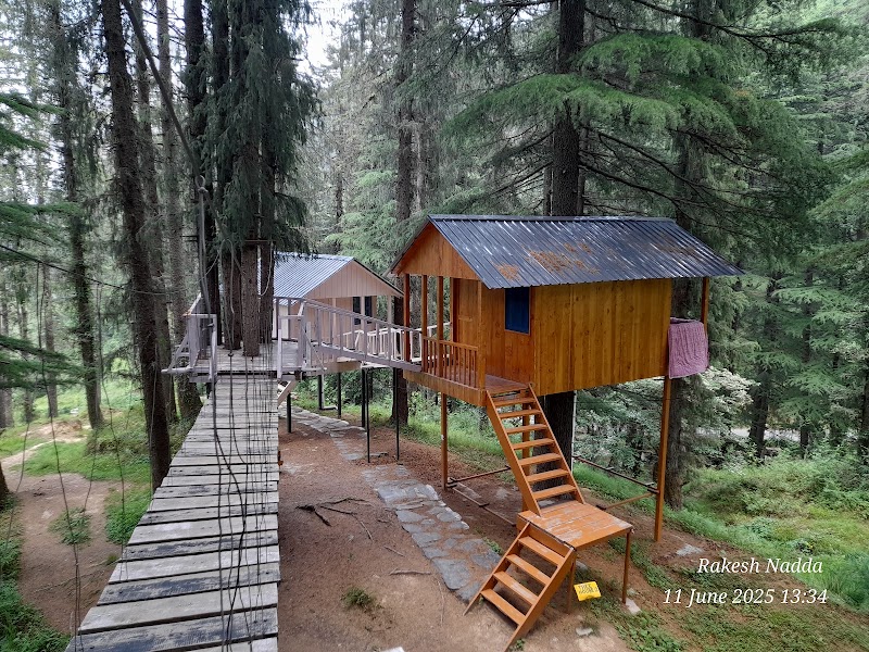Janjehli Camping - Janjehli Camping Vill. Ruhara P.O Janjehli Teh. Thunag Distt. Mandi (H.P), Shikari Temple Rd, Riara, Dhalyar, Himachal Pradesh 175047, India