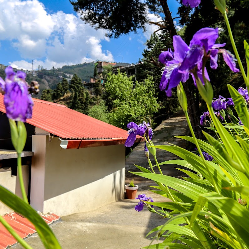 The Brigadiers Cottage Mussoorie, A pet friendly Homestay - The Brigadiers Cottage Mussoorie, A pet friendly Homestay Kempty Falls, Mussoorie, Lakhwad, Kempty, Mussoorie, Ram Gaon, Uttarakhand 248179, India