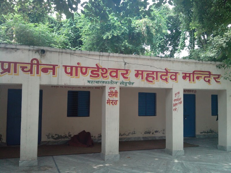 Saini - Saini, Uttar Pradesh 250001, India