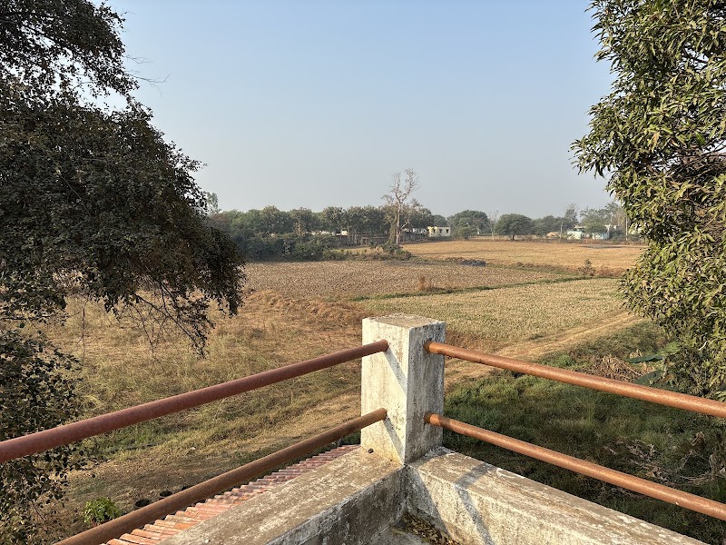 Ali Resort