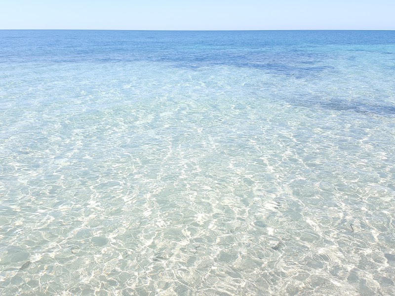 Platja de Ses Illetes - Platja de Ses Illetes, 07871, Illes Balears, Spain