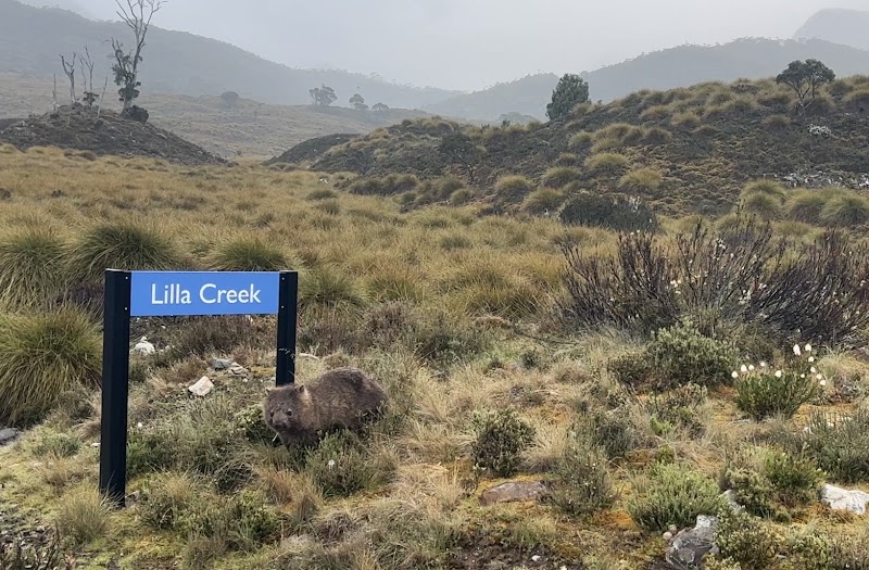 Ronny Creek Carpark - Ronny Creek Carpark, Dove Lake Rd, Cradle Mountain TAS 7306, Australia
