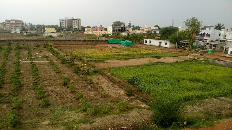 Pt. Ramnarayan Shastri Bal Udyan - Pt. Ramnarayan Shastri Bal Udyan, 3595+4GP, Vidya Nagar Rd, Vidya Nagar, Chhattisgarh 495004, India