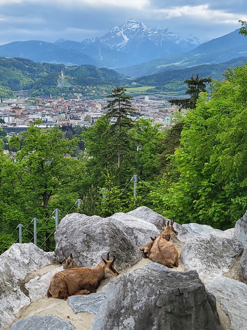 Alpenzoo Innsbruck - Tirol - Alpenzoo Innsbruck - Tirol Weiherburggasse 37a, 6020 Innsbruck, Austria