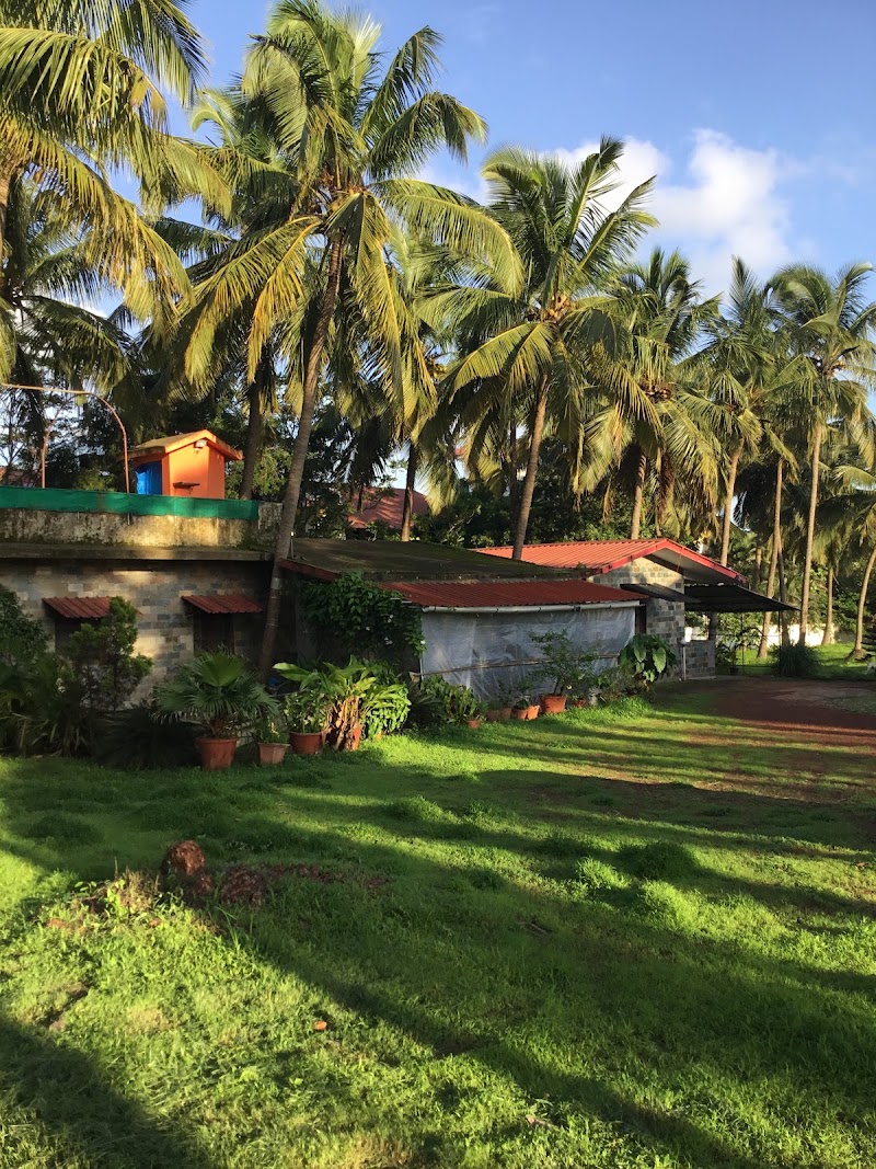Hill View - Hill View, Dmello Vaddo, Anjuna, Goa 403509, India