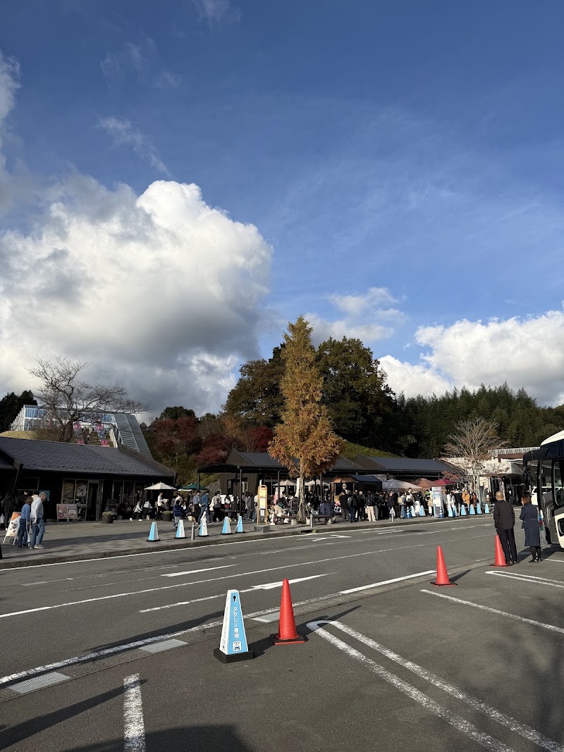 南展望エリア - 南展望エリア 313 Sasahara Shinden, Mishima, Shizuoka 411-0012, Japan