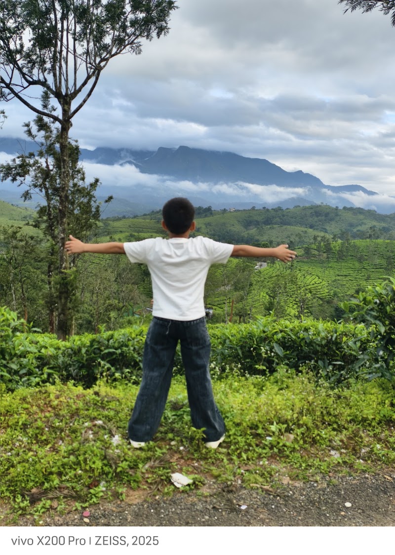 Nilgiri hills view point - Nilgiri hills view point Nelliyalam, Nadugani, Tamil Nadu 643211, India