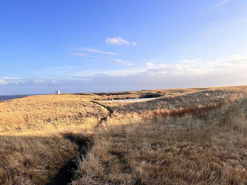 Arnarstapi Cliff Viewpoint - Arnarstapi Cliff Viewpoint, Q97G+P3C, Arnarstapavegur, 356 Arnarstapi, Iceland