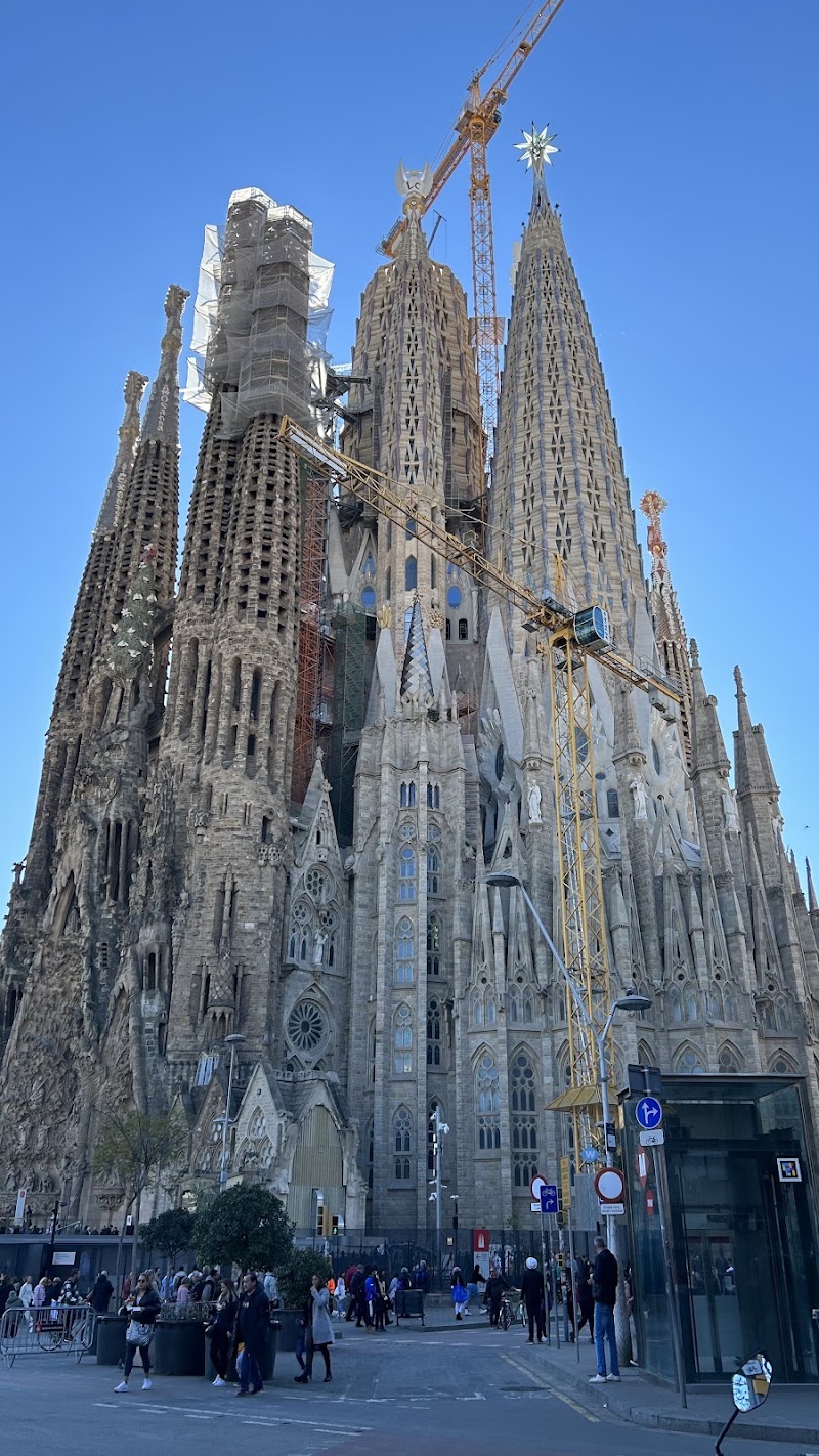 Free Walking Tours Barcelona - Free Walking Tours Barcelona, Pl. Reial, s/n, Ciutat Vella, 08002 Barcelona, Spain