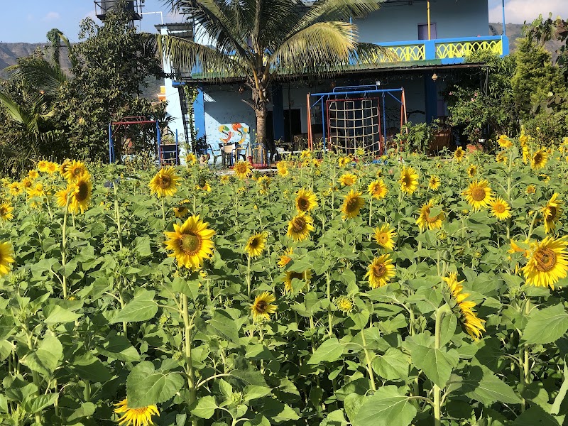 Lonavala Farm Stay - Lonavala Farm Stay Shinde Agro Farm Gate No. 68 Near Dahivali Road Near Kohli Vishram Gruha Karla, Dahivali, Lonavala, Taluka, Mawal, Dahivali, Maharashtra 410405, India