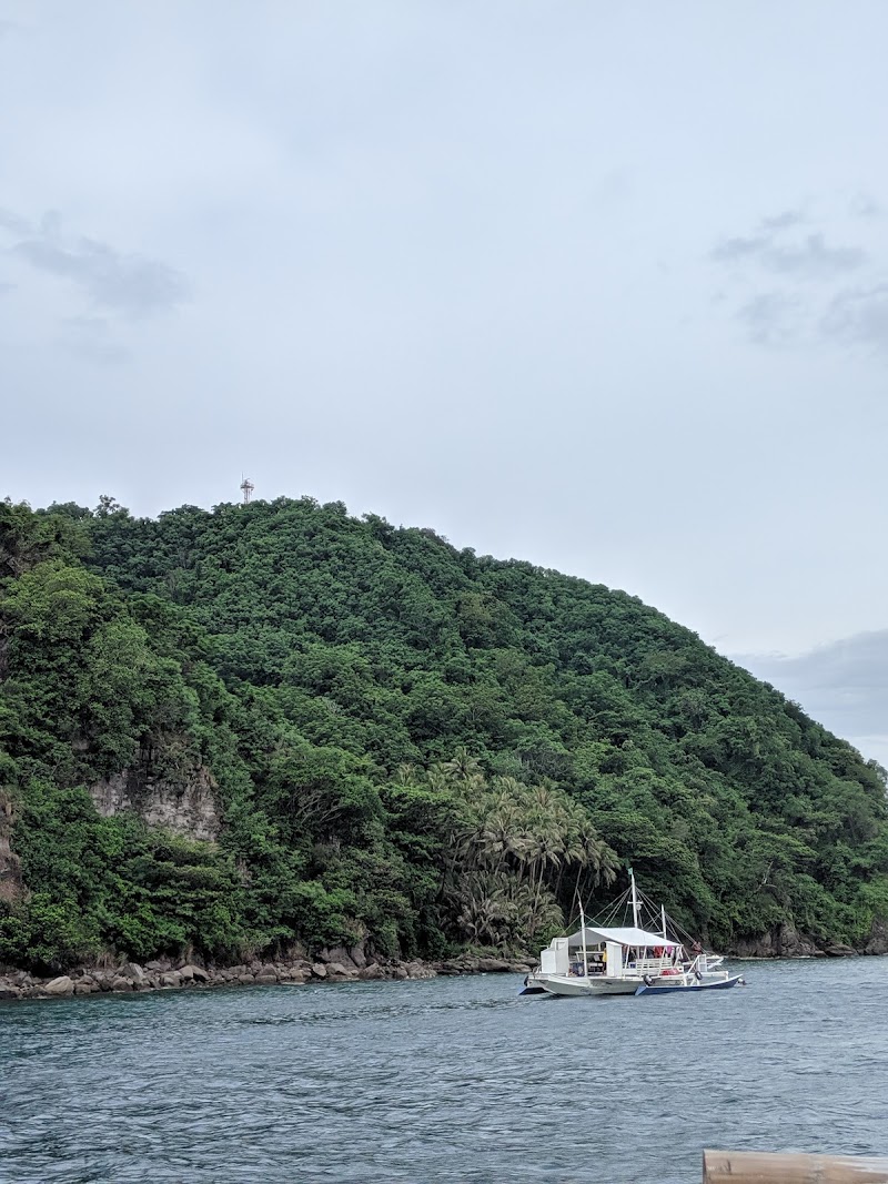 Apo Island Marine Sanctuary - Apo Island Marine Sanctuary, Philippines