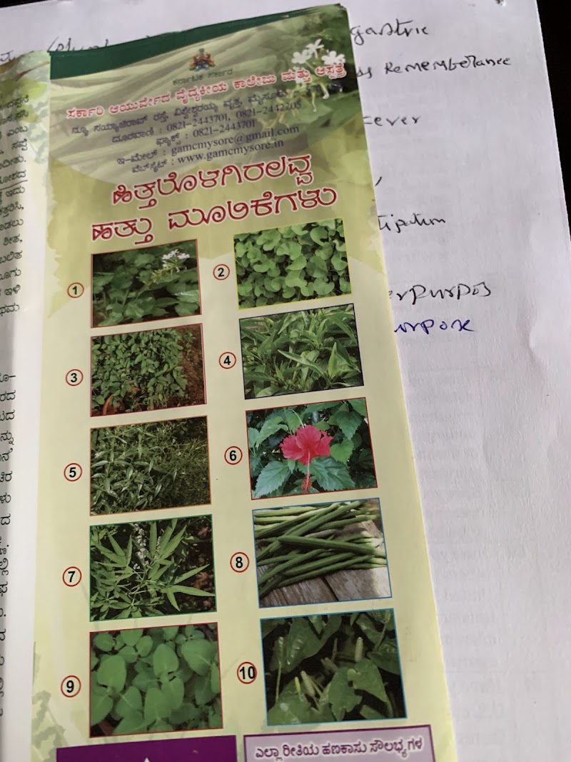 Roys Nursery Farm : Plant nursery In Mysuru. - Roys Nursery Farm : Plant nursery In Mysuru., 191, Naguvanahalli, Road, Old, Hale Kesare, Mysuru, Karnataka 570019, India