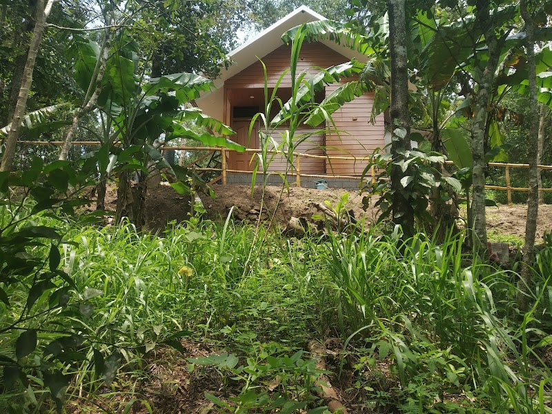 Mountainmist Wooden Cottages - Mountainmist Wooden Cottages, R66Q+FJ7, Ramakkalmedu, Kerala 685552, India