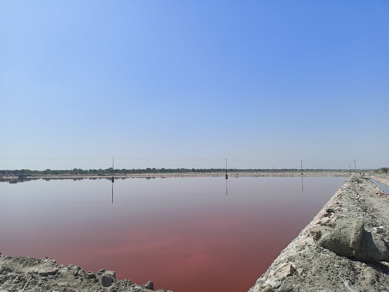 Sambhar Lake - Sambhar Lake Sambhar, Rajasthan 303604, India