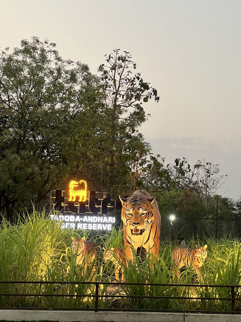 Tadoba Moharli Gate (Core Zone) - Tadoba Moharli Gate (Core Zone) 58RM+QXP, Moharli, Maharashtra 442404, India