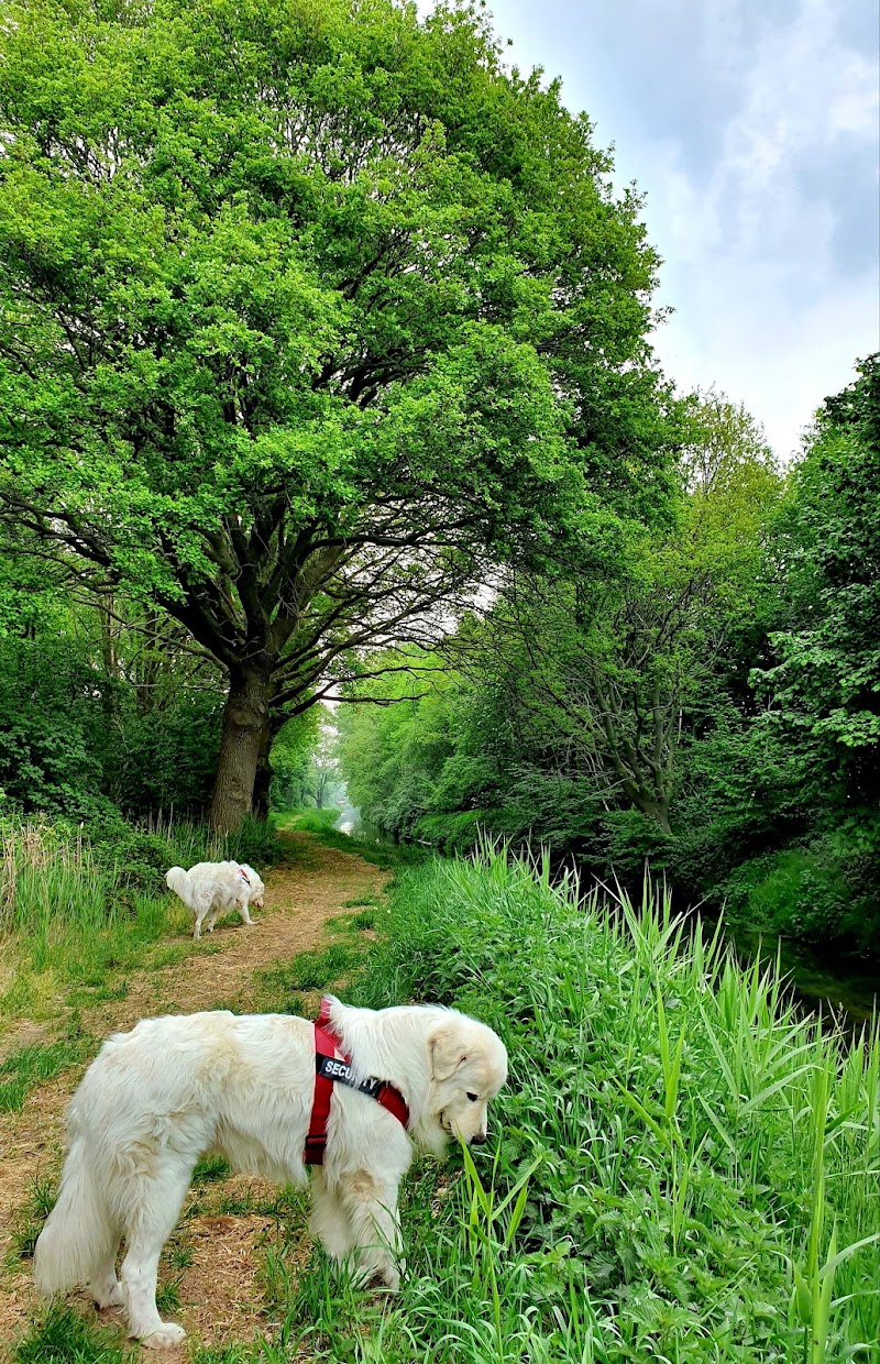 Beringe - Beringe, Netherlands