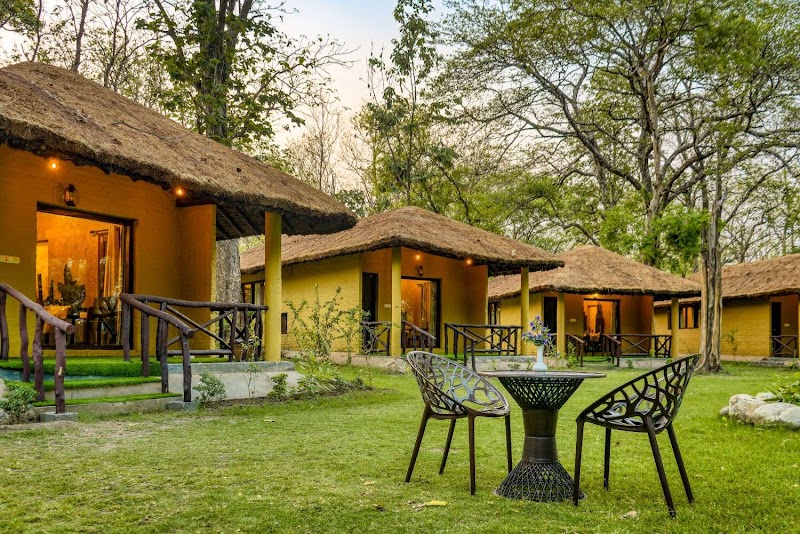 Bijrani Jungle Cottages by VEDAM - Bijrani Jungle Cottages by VEDAM C47H+6V, Dogadda Range, Uttarakhand 244715, India