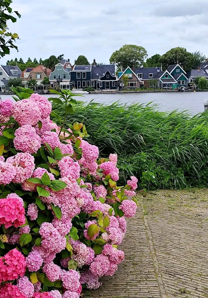 De Zaanse Schans - De Zaanse Schans, Schansend 7, 1509 AW Zaandam, Netherlands