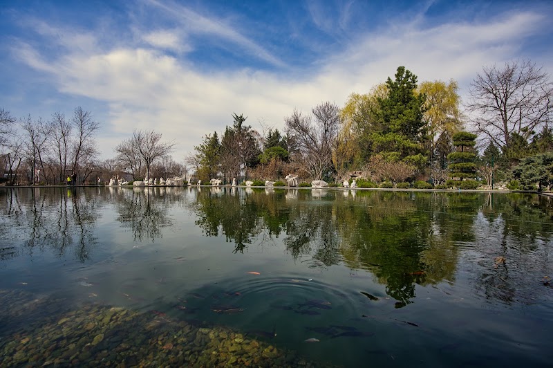 Almaty Botanical Gardens - Almaty Botanical Gardens, Timiryazev St 36Д, Almaty 6050040, Kazakhstan