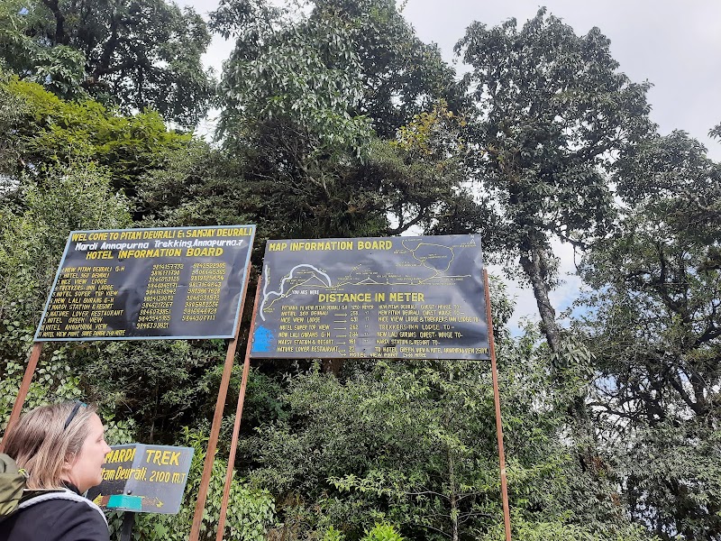 pittam deurali - pittam deurali Nepal, Lumle, Annapurna-7