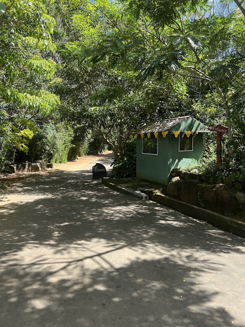 Hantana Tea Research Institute - Hantana Tea Research Institute, Hantana Rd, Kandy, Kandy, Sri Lanka