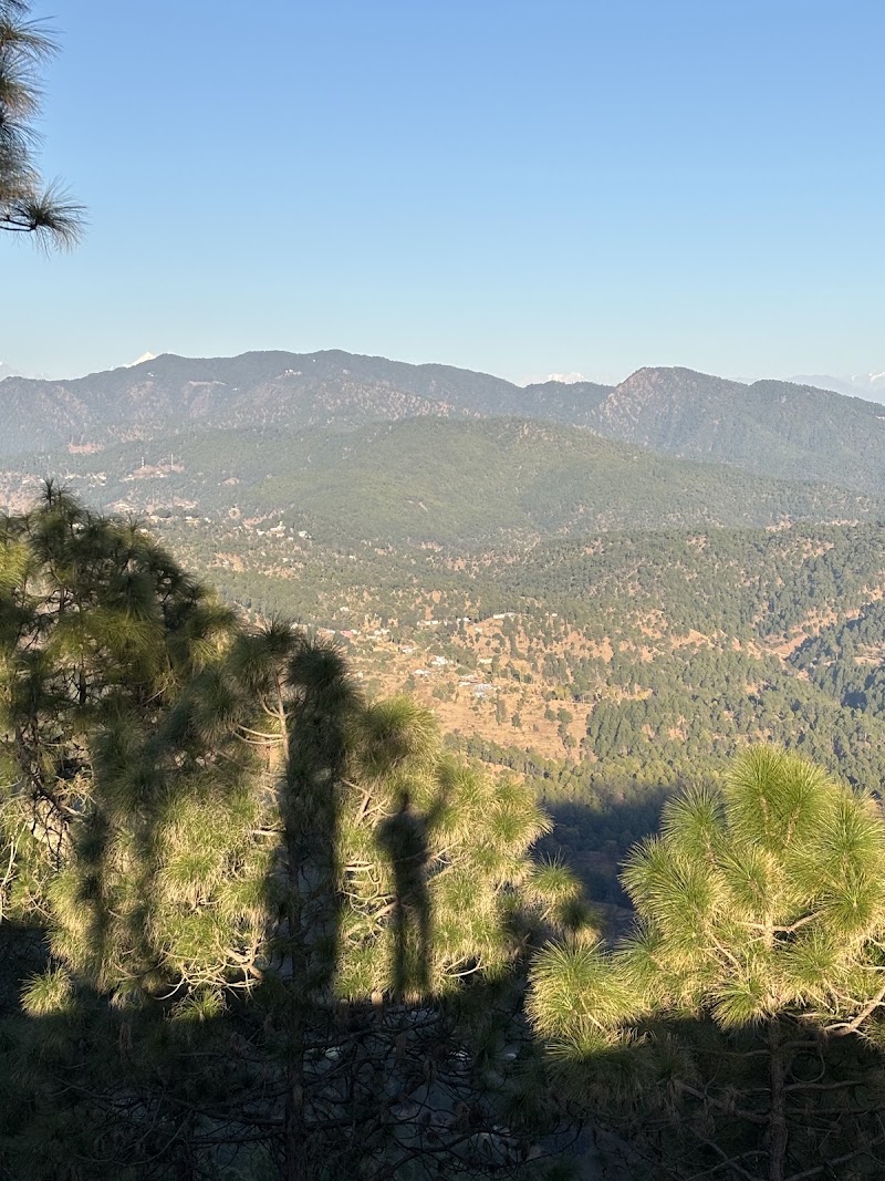 Hippie Hill - Hippie Hill JMR7+2HM, Mat, Uttarakhand 263601, India