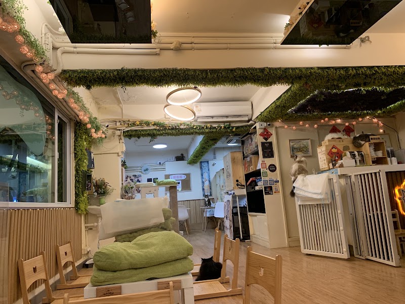 Cats Tea Room Tsuen Wan