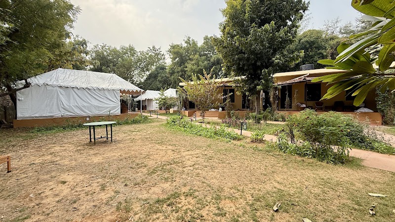 Jungle View Resort