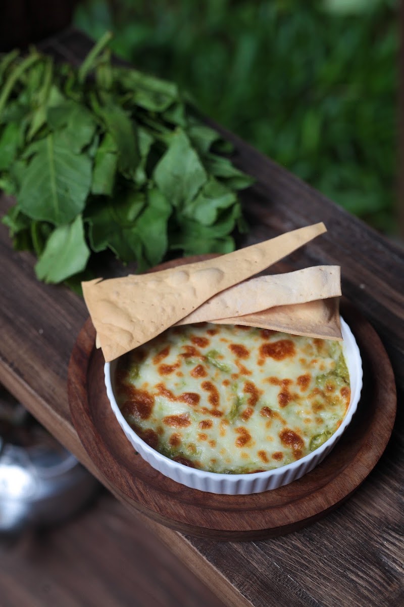 Autumn Leaf Cafe - Autumn Leaf Cafe, Plot no 823, Rd Number 41, CBI Colony, Jubilee Hills, Hyderabad, Telangana 500033, India