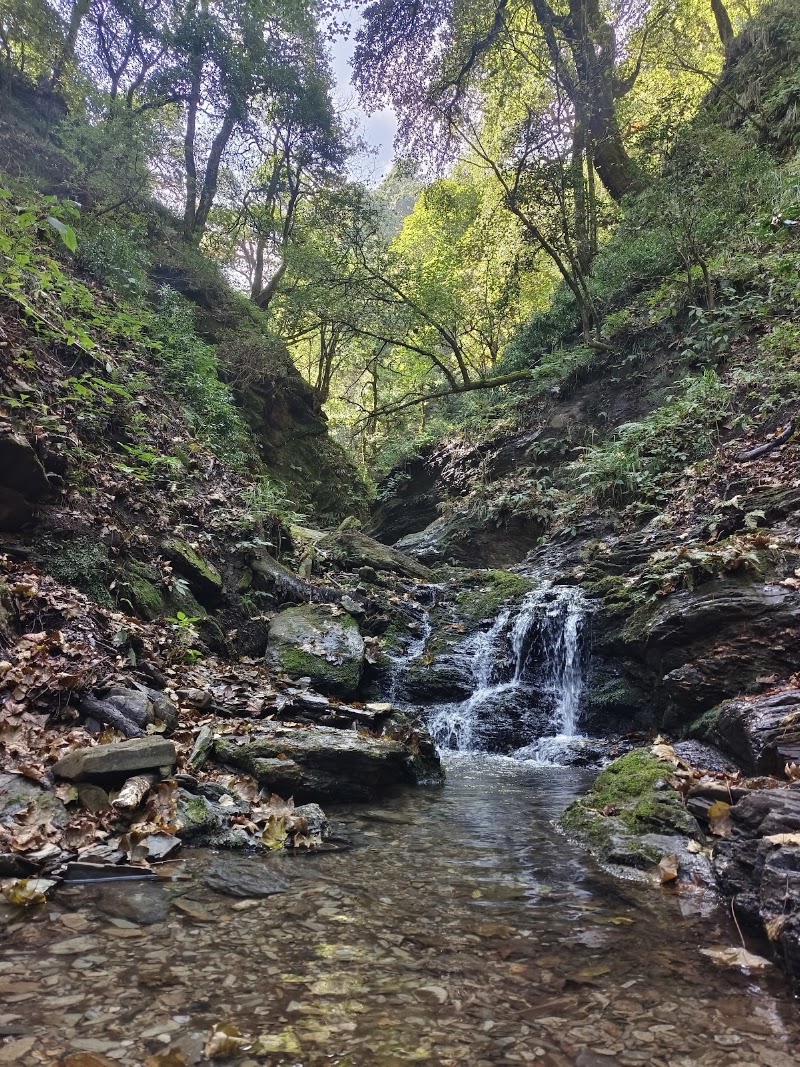 Kilbury and Pangot Wildlife and Bird Sanctuary - Kilbury and Pangot Wildlife and Bird Sanctuary CC9W+8JC, Pangoot, Naina Range, Uttarakhand 263132, India