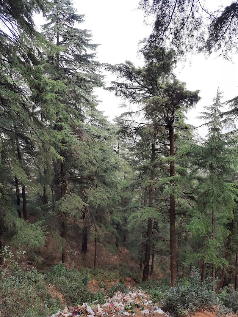 View point - View point HJ34+42G, NH 109, Chausali, Uttarakhand 263135, India