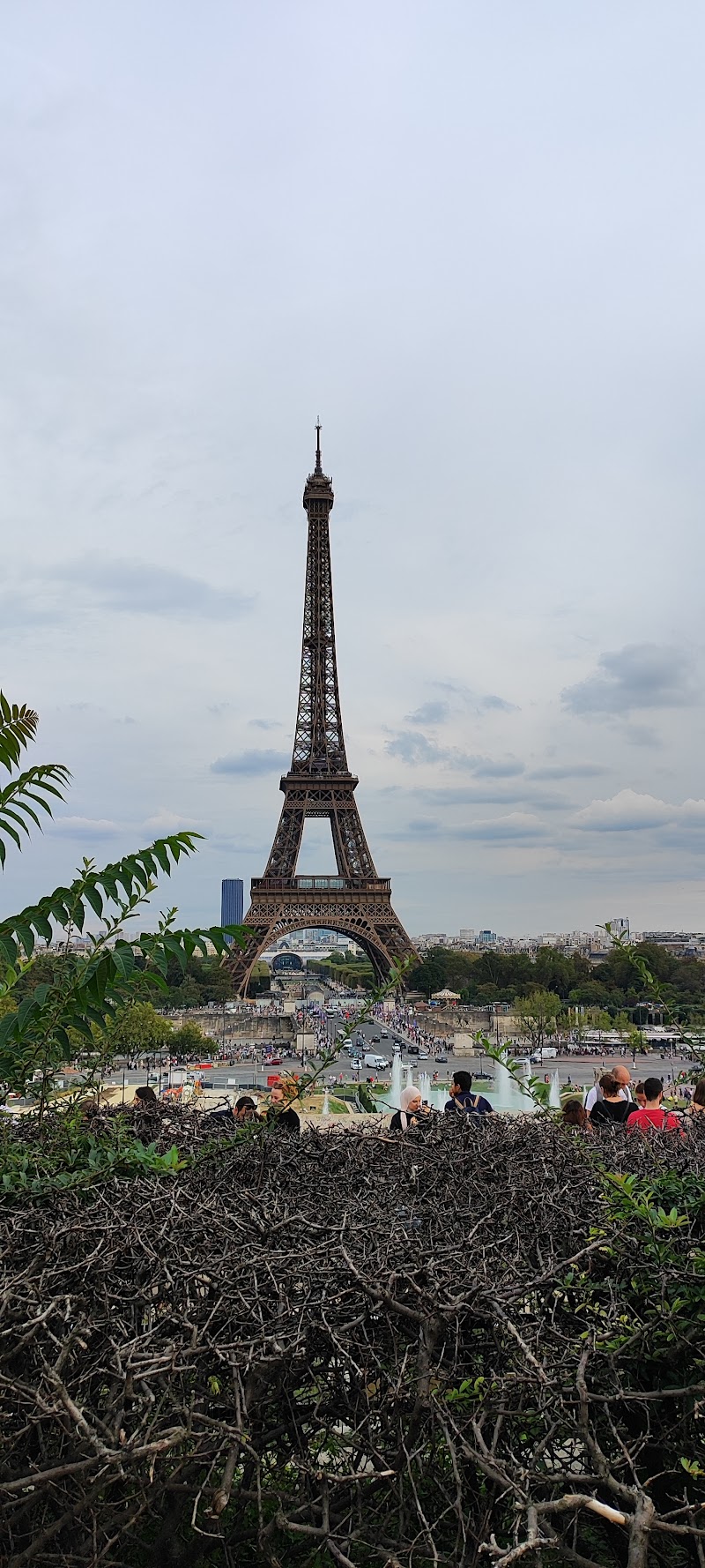 Champ de Mars - Champ de Mars 75007 Paris, France