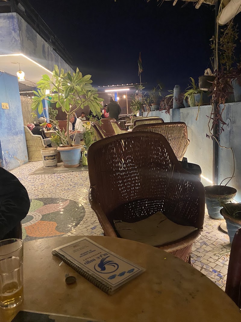 Blue Bird Cafe & Restaurant - Blue Bird Cafe & Restaurant Hostel Vostel, Fort Rd, Killi Khana, Makrana mohalla, Sodagaran Mohalla, Jodhpur, Rajasthan 342001, India