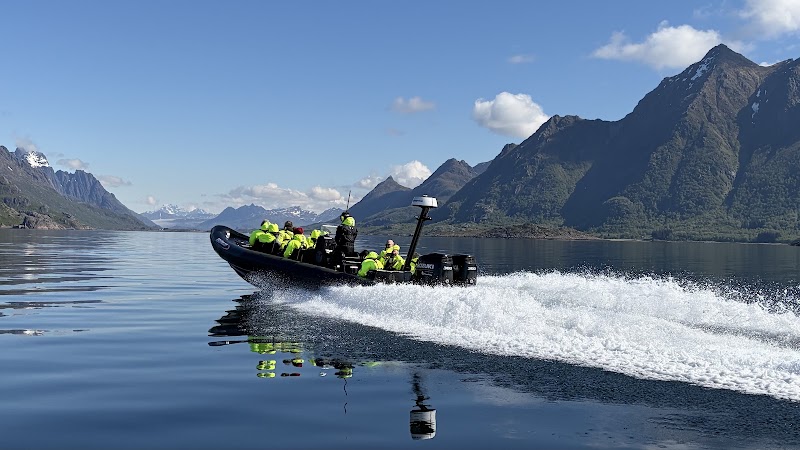 RIB-Lofoten - RIB-Lofoten Torget, 8300 Svolvær, Norway