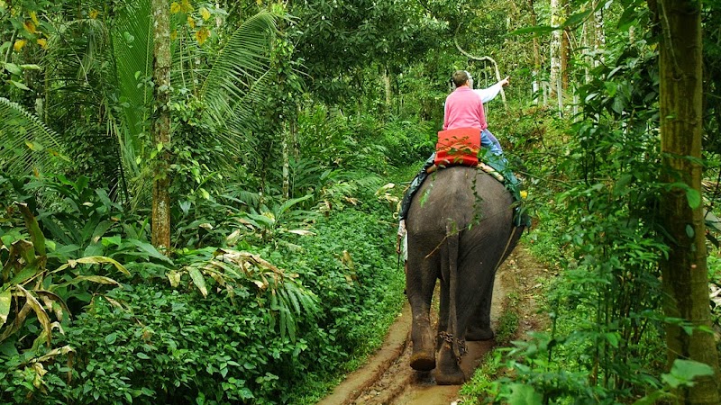 Kerala Tour Packages - Kerala Tour Packages, No 79/47, New Gardens Eenchakkal Sangamam Nagar Vallakadavu P.O, Subhash Nagar, Thiruvananthapuram, Kerala 695008, India