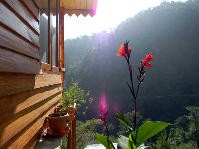VAYDIC RESORT YOGA RETREAT - VAYDIC RESORT YOGA RETREAT nandoh road, Kasauli, Himachal Pradesh 173204, India