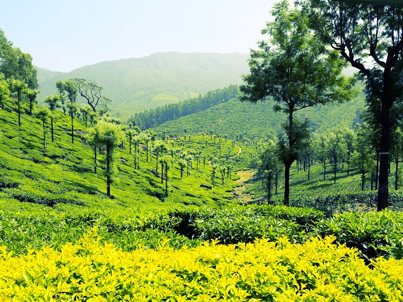 Kotagiri - Kotagiri Kotagiri, Tamil Nadu, India