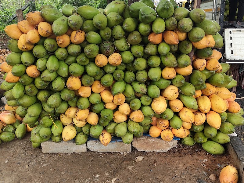 Hanumanthu palaw - Hanumanthu palaw, 1692, B N Rd, Mandi Mohalla, Mysuru, Karnataka 570001, India