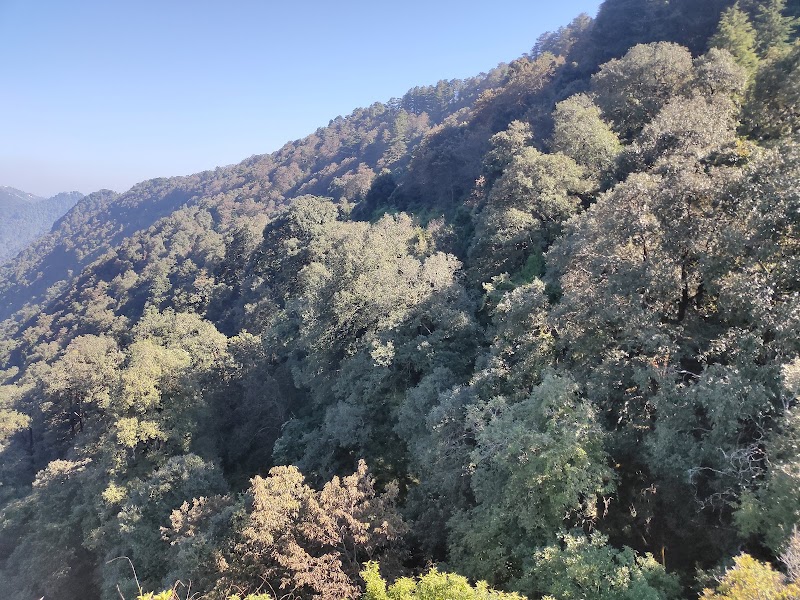 Benog Wildlife Sanctuary - Benog Wildlife Sanctuary Charleville, Mussorie Range, Uttarakhand 248179, India