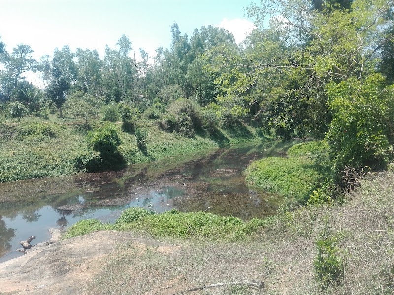 Meppadi - Meppadi Meppadi, Kerala 673577, India