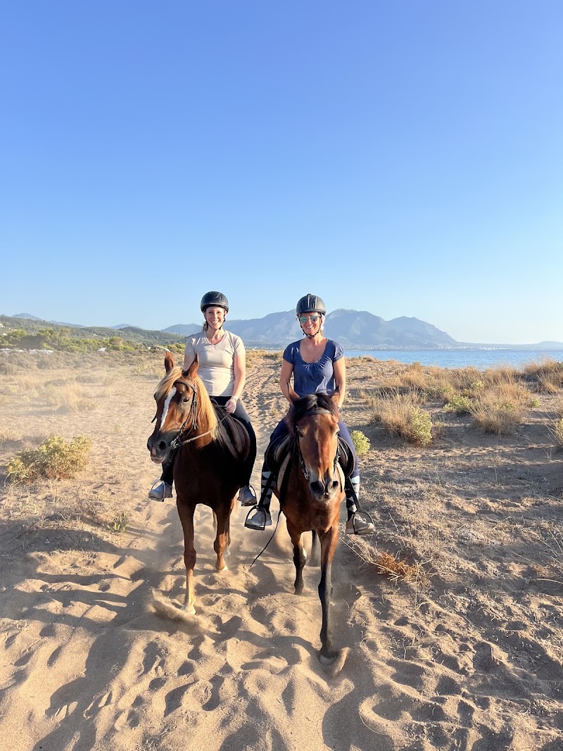 Elea Horse Riding - Elea Horse Riding, EO Pirgou Kiparissias, ΚΥΠΑΡΙΣΣΙΑ 245 00, Greece