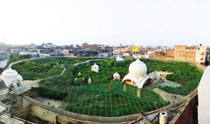 Seva Kunj, Vrindavan - Seva Kunj, Vrindavan, Kunj Gali, Near, Radha Vallabh Temple Rd, Gotam Nagar, Vrindavan, Uttar Pradesh 281121, India