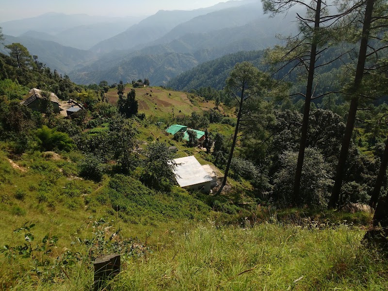 Binsar - Binsar Binsar, Uttarakhand, India